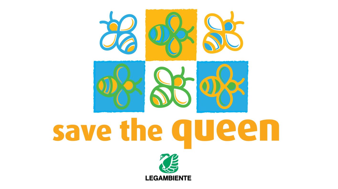 immagine per Save the queen